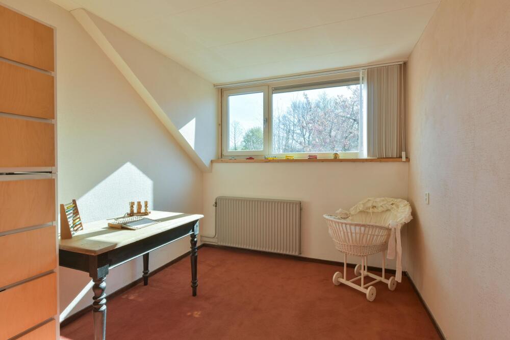 Foto 20 1000w