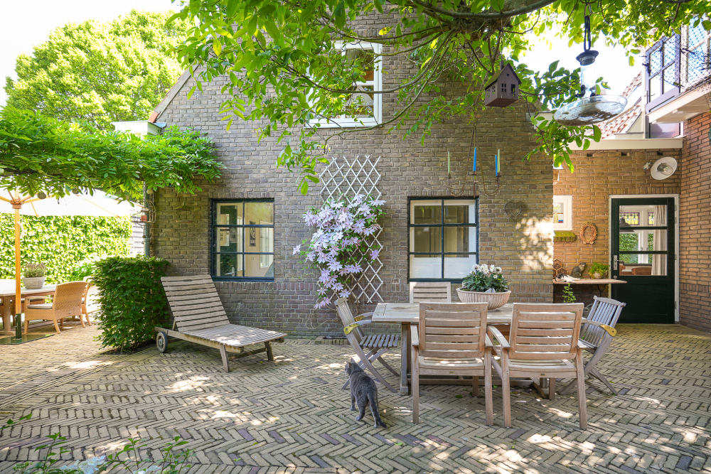 Foto 3 1000w