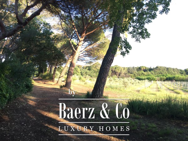 photo 30 Historic manor house overlooking Mont Ventoux