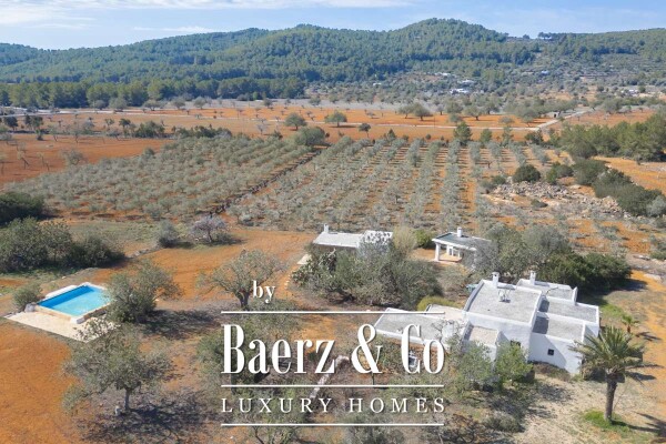 photo 61 Beautiful luxury home in San Mateo, San Mateo