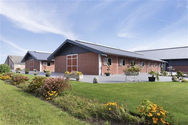 Video Molenstraat 124