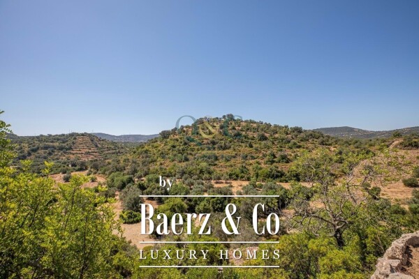 photo 19 Beautiful luxury home in São Brás de Alportel, Countryside