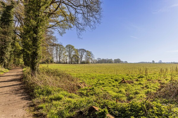 Video Schoolkaterdijk 80
