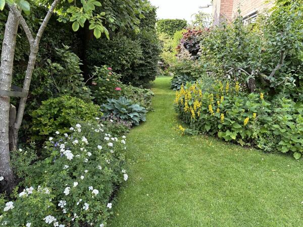 photo 9 Lijsterlaan 2 b