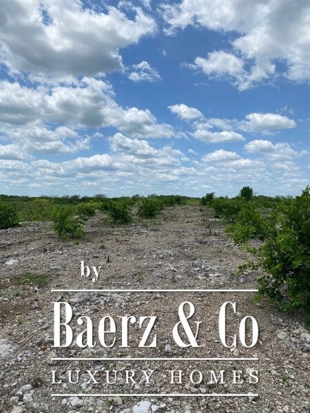 photo 42 Street 24 x 29 