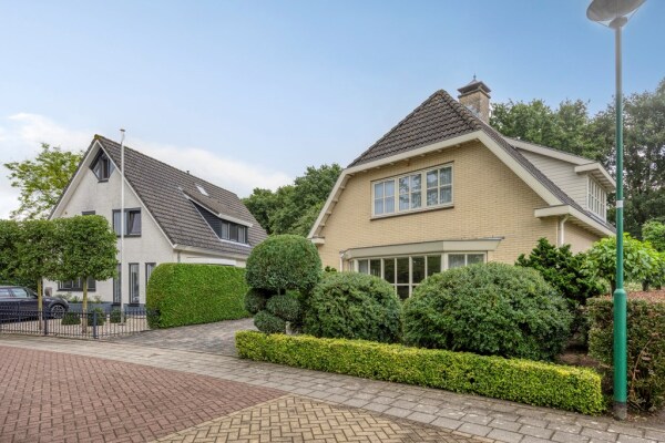 photo 7 Bilzekruid 11