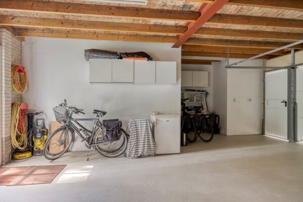 photo 50 Bilzekruid 11