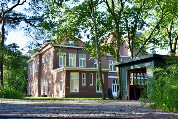 Video Groenelaantje 35 g